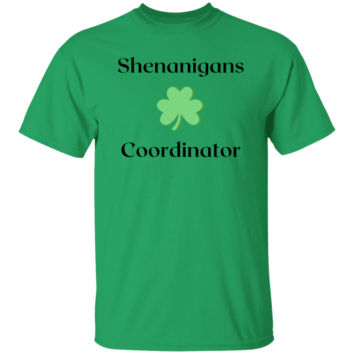 Shenanigans Coordinator T-Shirt